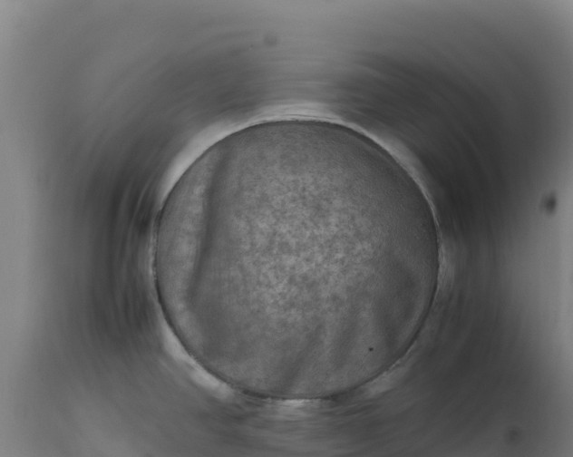 X0000112401390200908281739