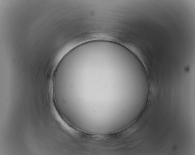 X0000112401391200908281739