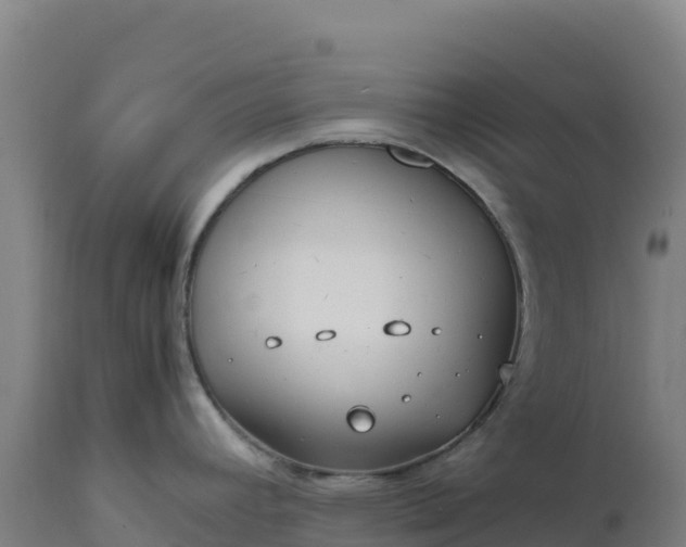 X0000112401392200908281739