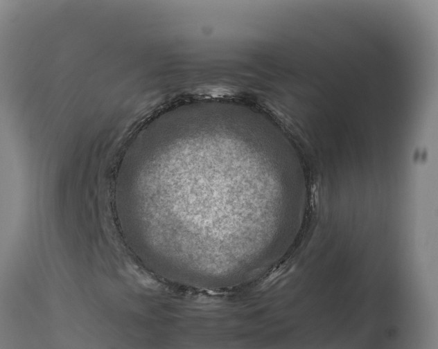 X0000112401393200908281738