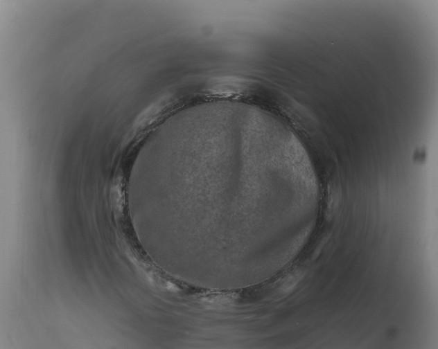 X0000112401394200908281738