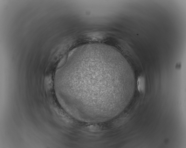X0000112401395200908281738