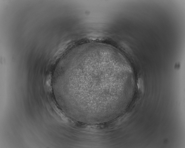 X0000112401396200908281738