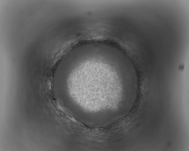 X0000112401397200908281738