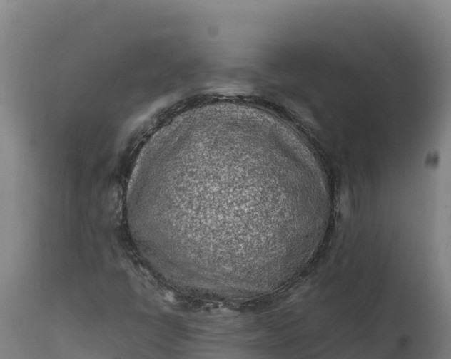 X0000112401398200908281738