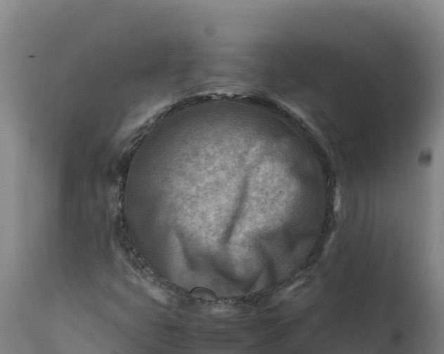 X0000112401399200908281738