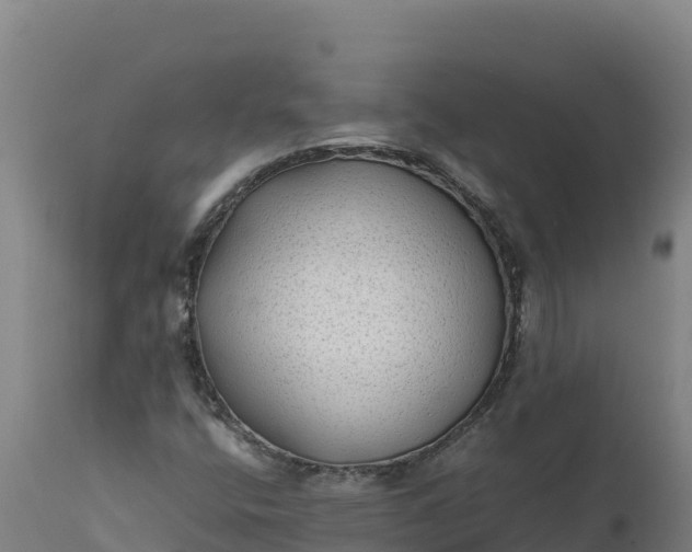 X0000112401400200908281738