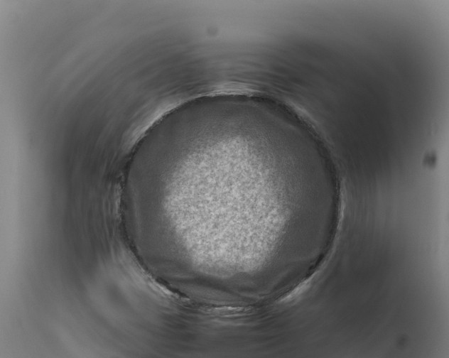 X0000112401401200908281738