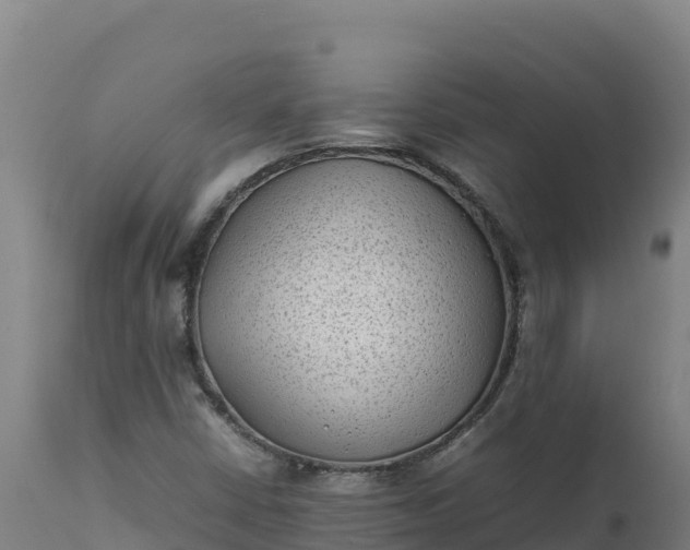 X0000112401402200908281739