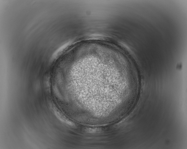 X0000112401403200908281739