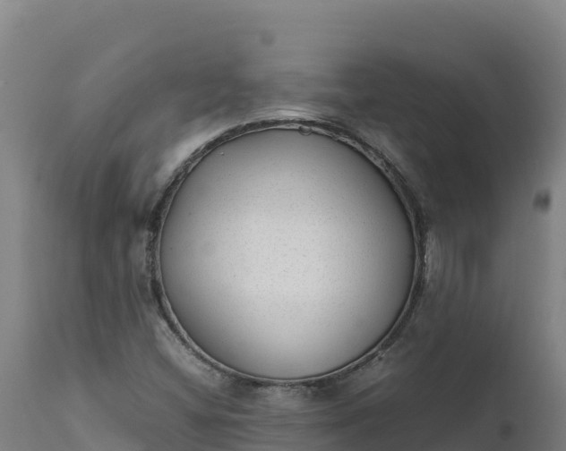 X0000112401404200908281739