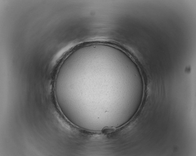 X0000112401406200908281739