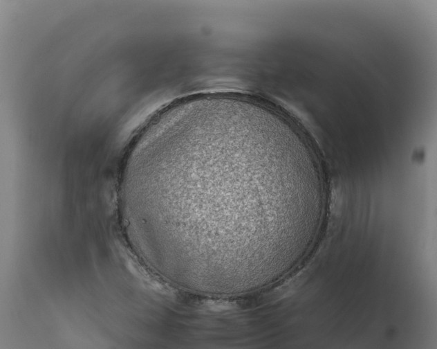 X0000112401407200908281739