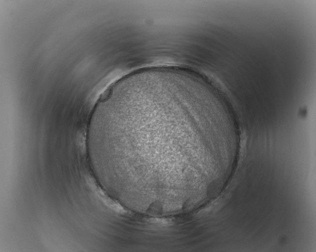 X0000112401409200908281739