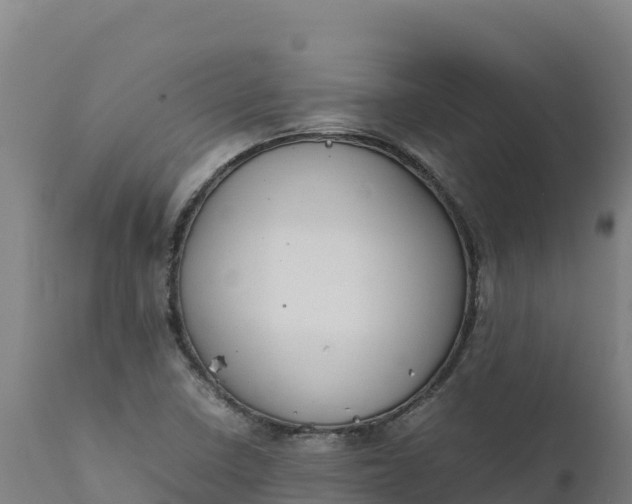 X0000112401410200908281739