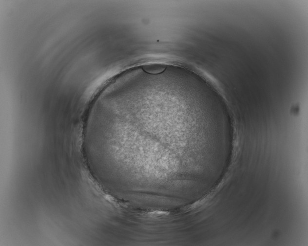 X0000112401411200908281739