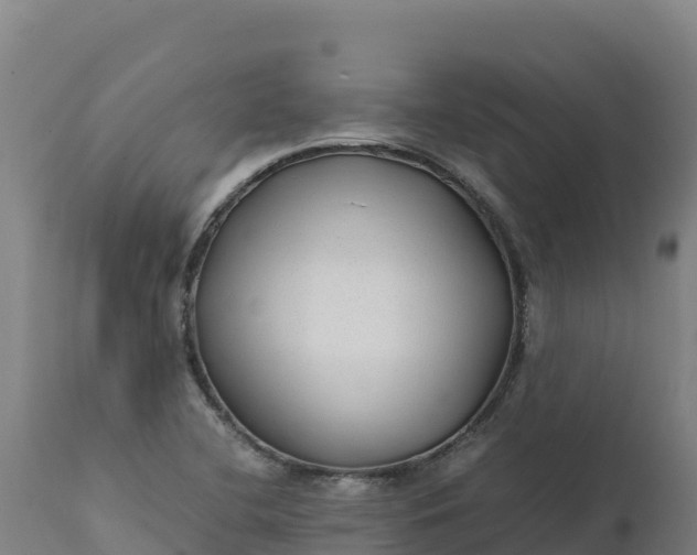 X0000112401412200908281739