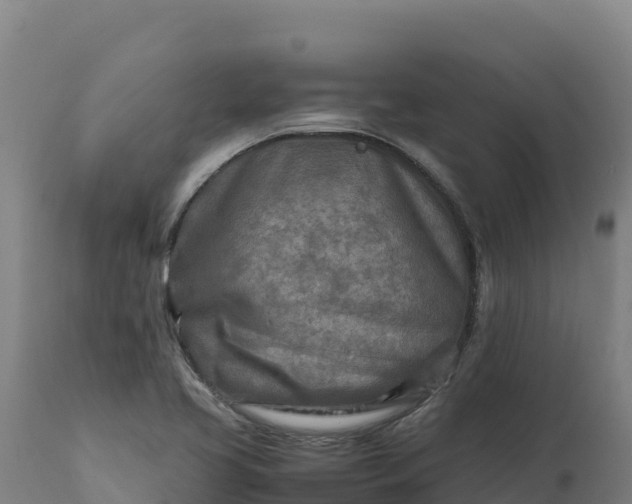X0000112401413200908281739