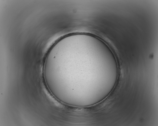 X0000112401416200908281739