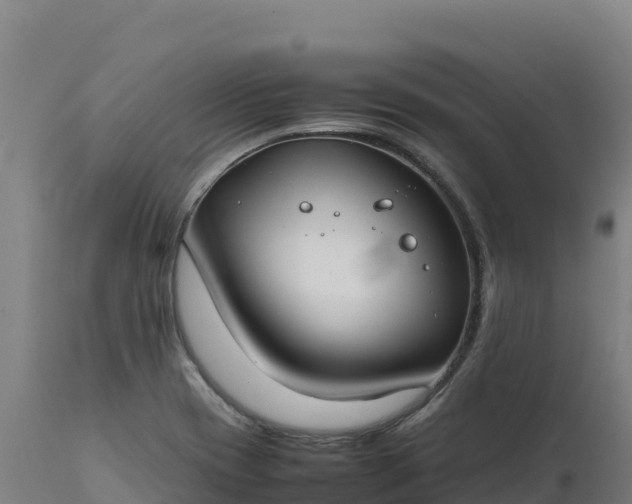 X0000112401417200908281739