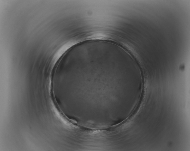 X0000112401418200908281739
