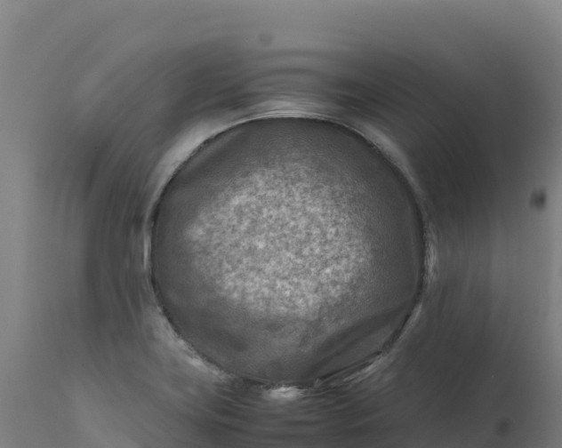 X0000112401419200908281739