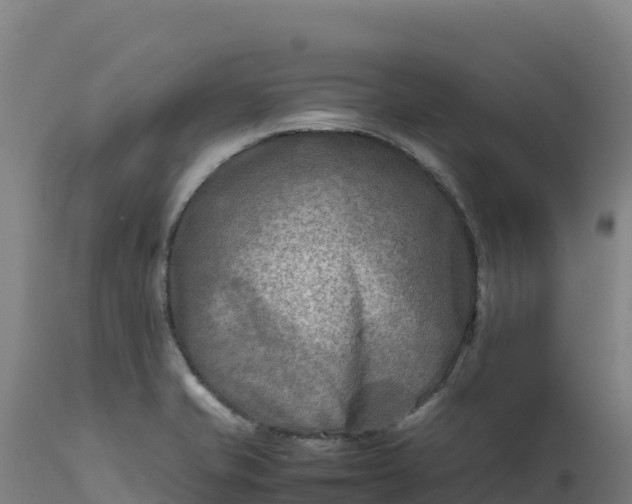 X0000112401421200908281739