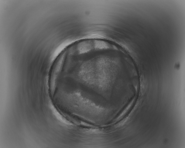 X0000112401422200908281739