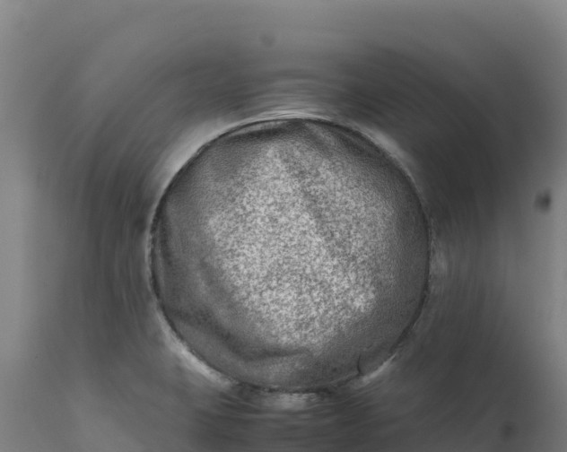 X0000112401423200908281739