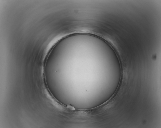 X0000112401424200908281739