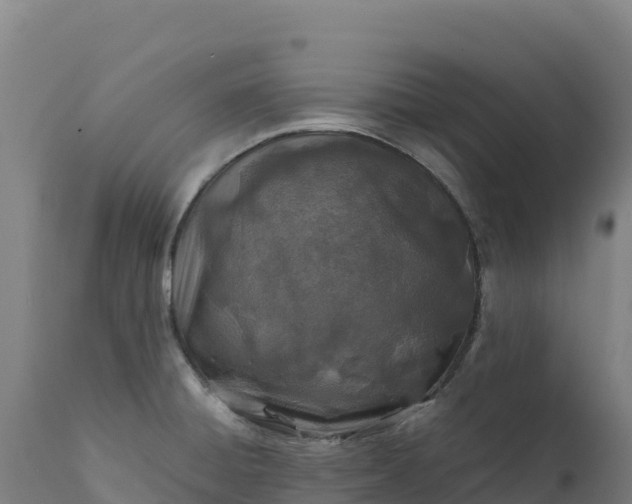 X0000112401428200908281739