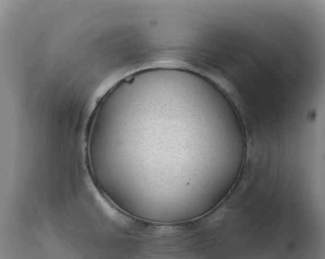 X0000112401430200908281739
