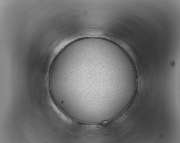 X0000112401432200908281739