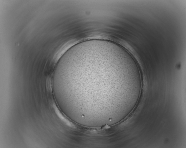 X0000112401433200908281739
