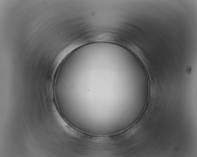 X0000112401434200908281739