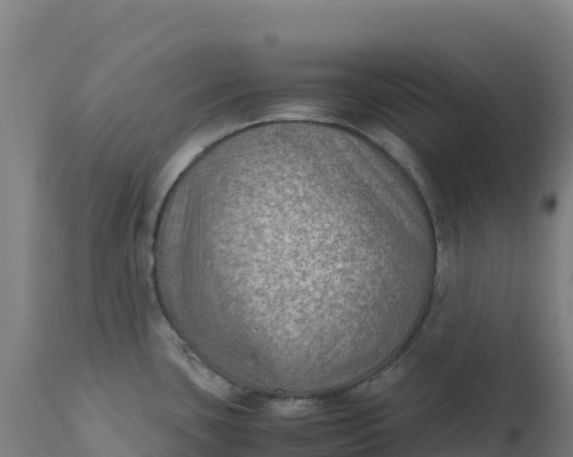X0000112401435200908281739