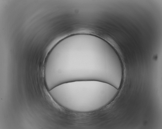 X0000112401436200908281739