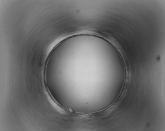 X0000112401438200908281739