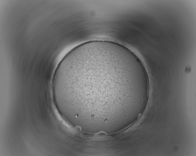 X0000112401440200908281739