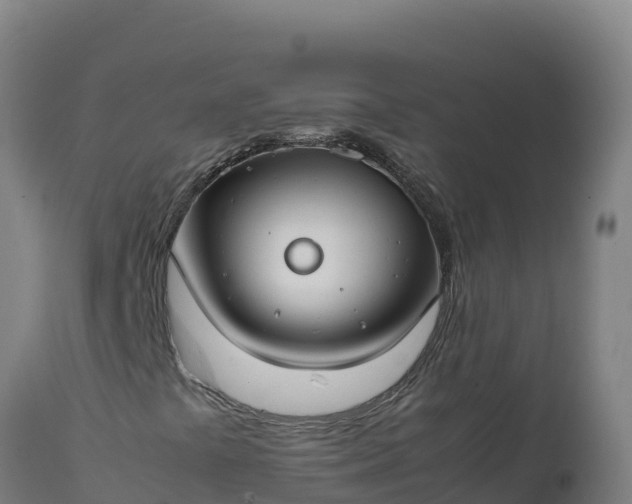 X0000112401441200908281738