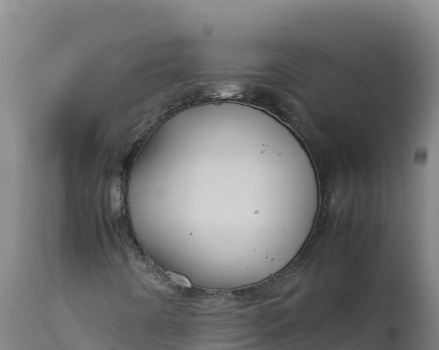 X0000112401442200908281738