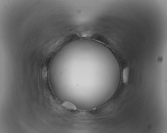 X0000112401443200908281738