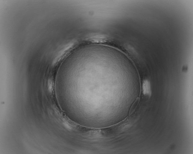 X0000112401444200908281738