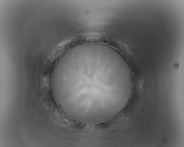 X0000112401445200908281738
