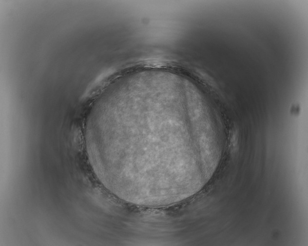 X0000112401446200908281738