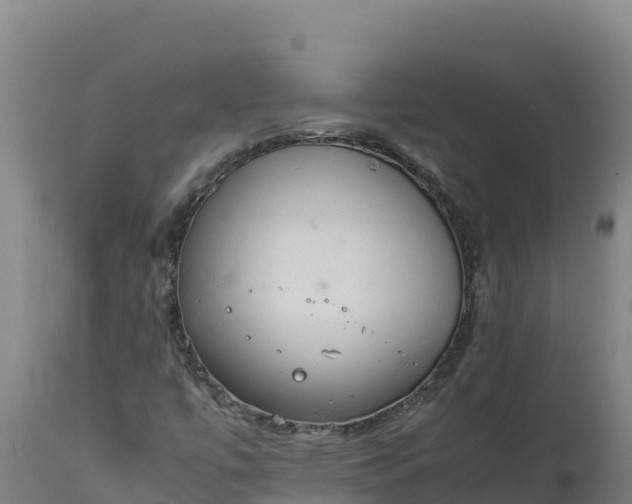 X0000112401447200908281738