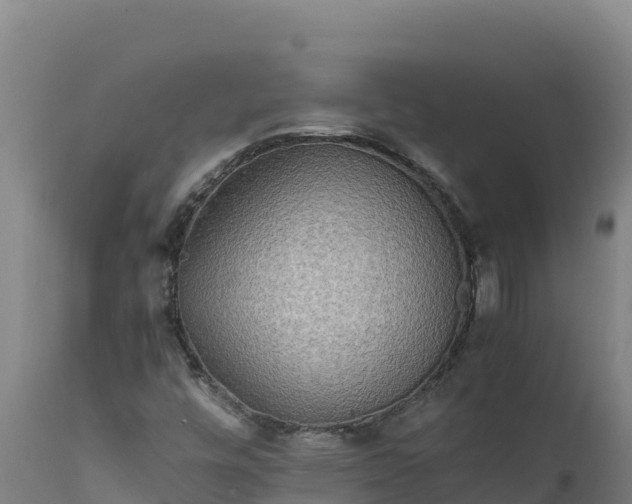 X0000112401448200908281738