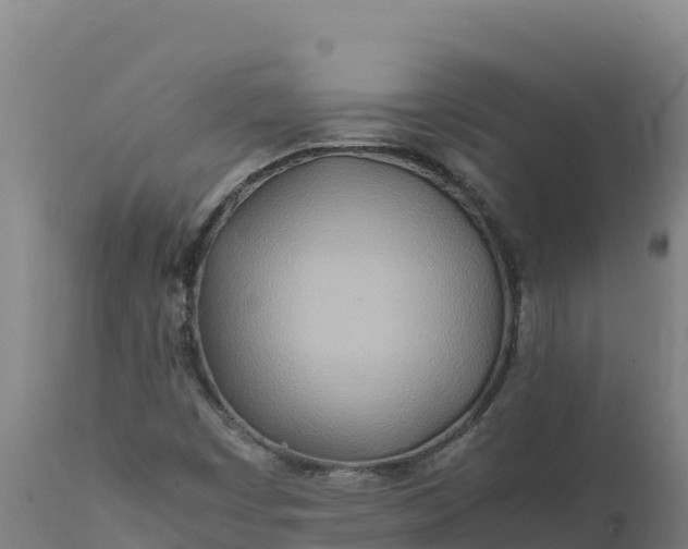 X0000112401449200908281738