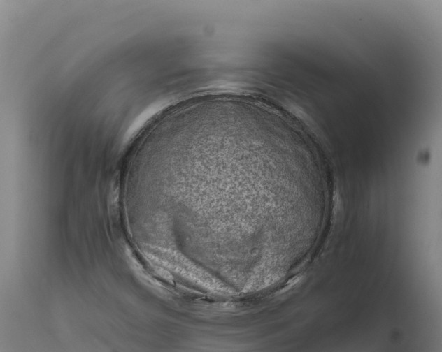 X0000112401450200908281738