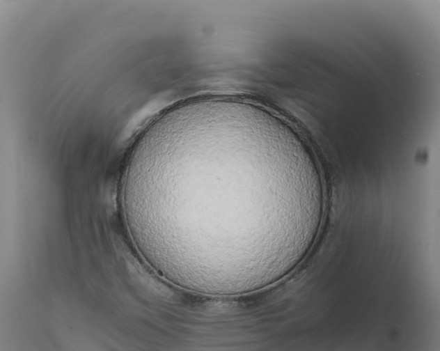 X0000112401451200908281738